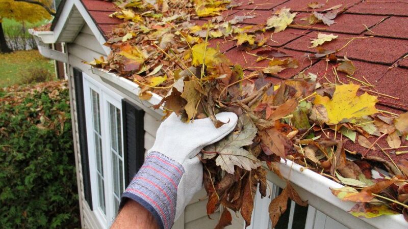 How to Stop Gutter from Clogging