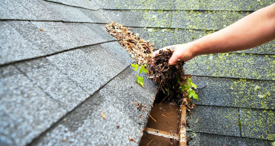 How to Stop Gutter from Clogging (2)