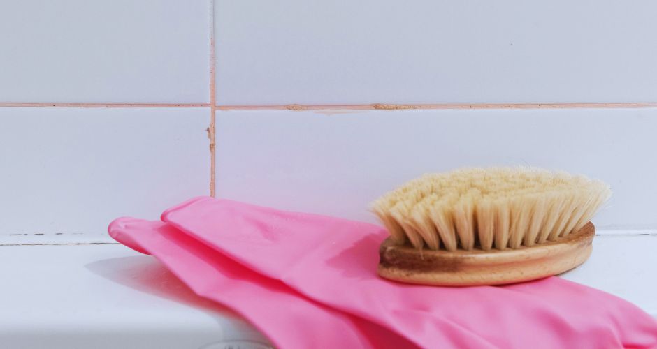 What is Pink Mold & How to Get Rid of It