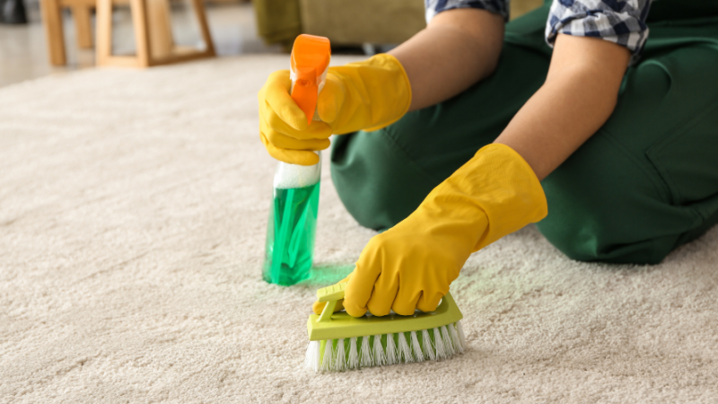 5 Signs It’s Time to Have Your Carpets Professionally Cleaned