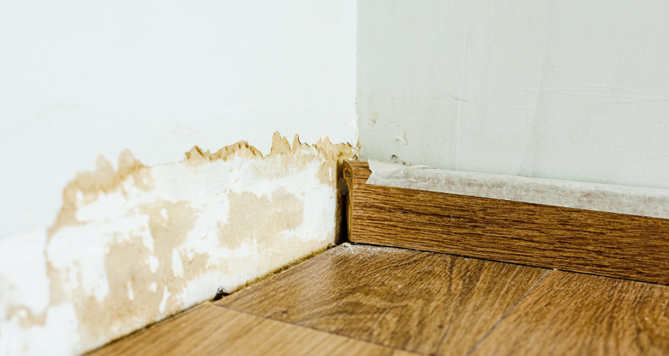 Damp Walls: Causes, Prevention, and Renovation Tips