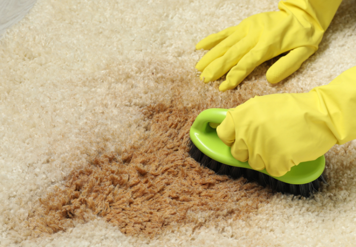 How to Remove Tough Stains from Carpet?