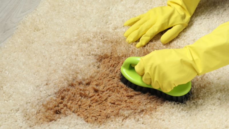 How to Remove Tough Stains from Carpet?