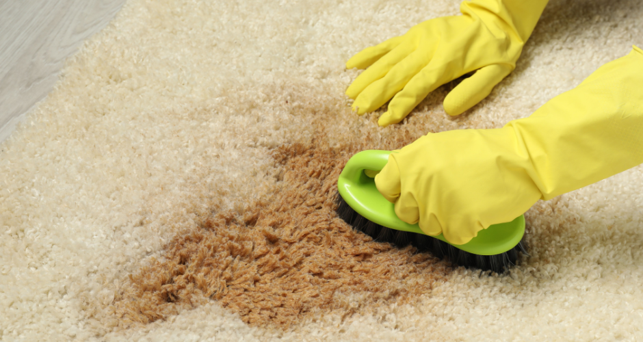 How to Remove Tough Stains from Carpet?