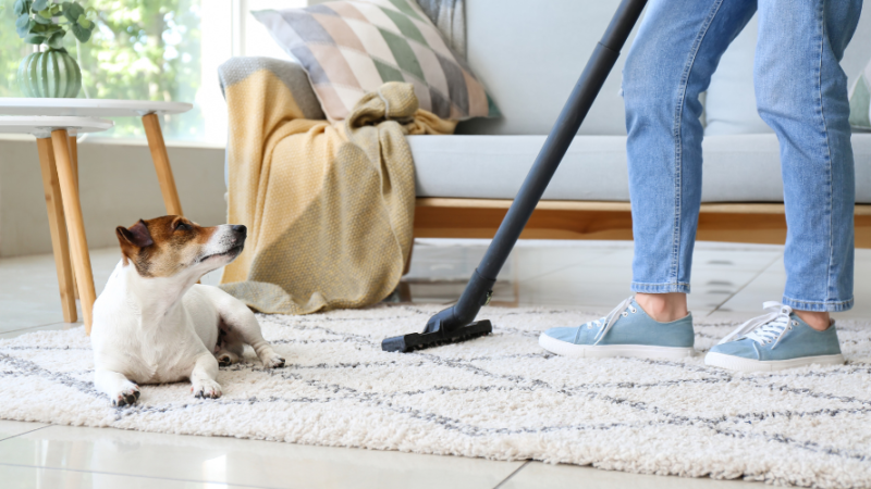 Common Mistakes in Floor Cleaning for Pet Owners and How to Avoid Them