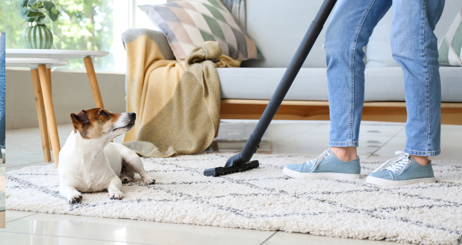 Common Mistakes in Floor Cleaning for Pet Owners and How to Avoid Them