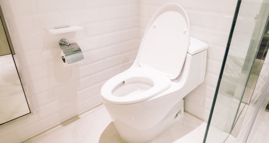 Low-Flow Toilets vs. Standard Toilets