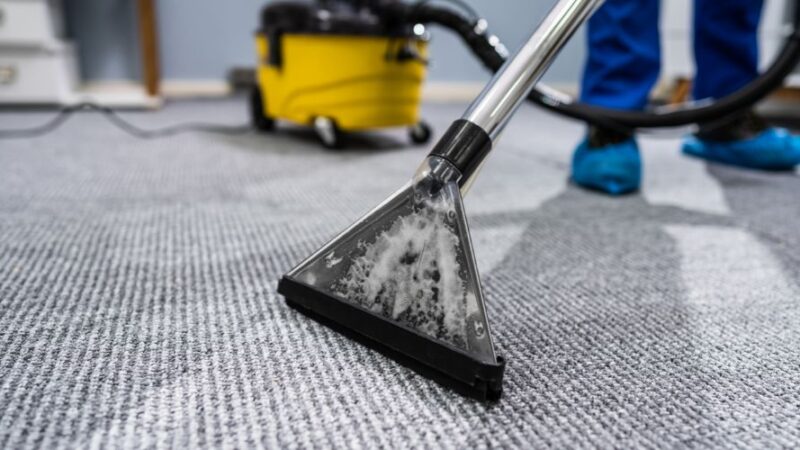 How Professional Carpet Cleaning in Lancaster County, PA Extends the Life of Your Carpets